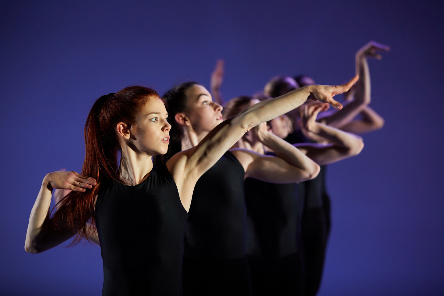 Pal Frenák, W_all / Rita Góbi, Snapdragons