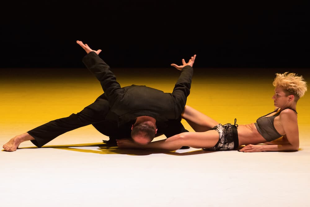 Contemporary dancers performing dynamic duet on stage.