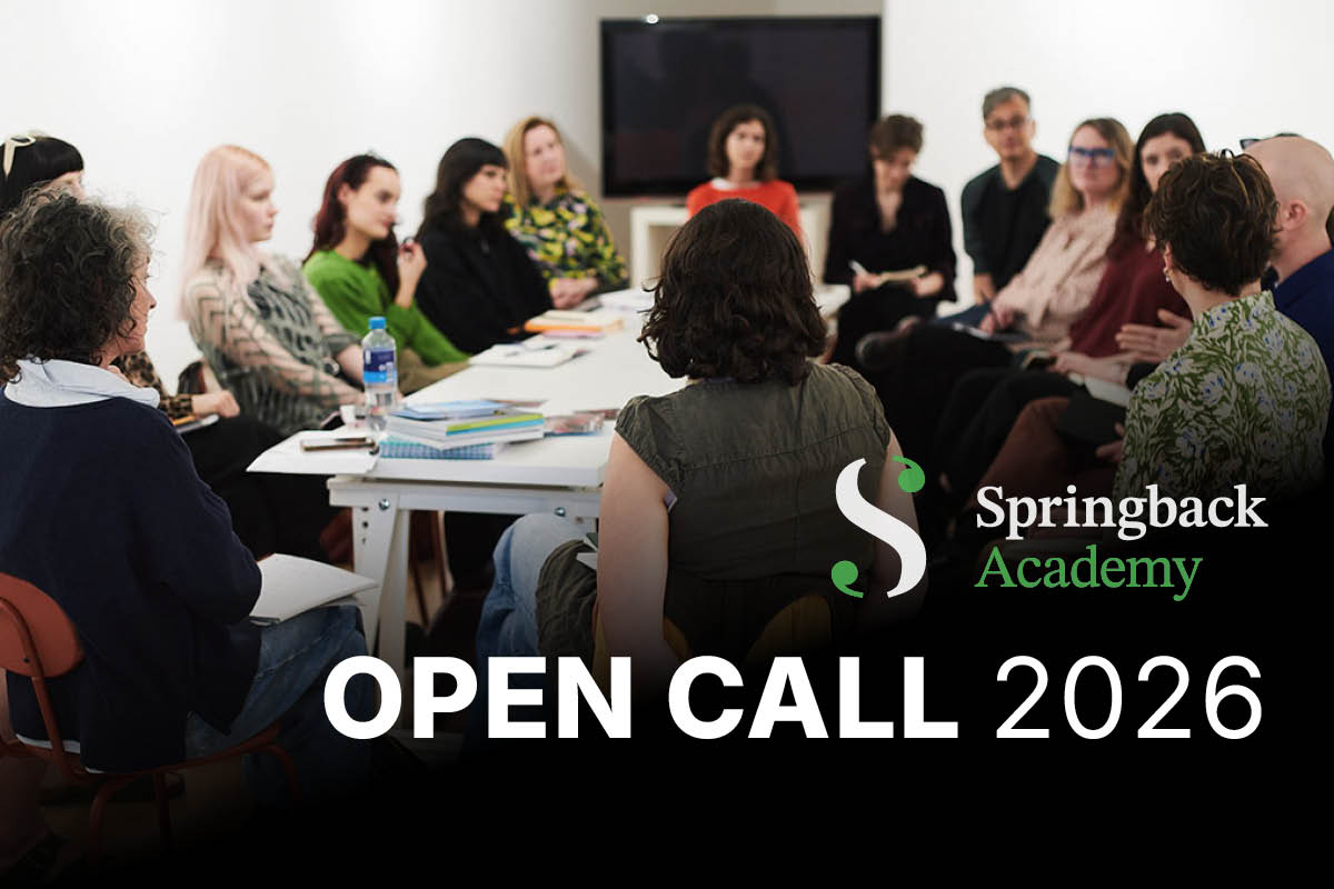 Springback Academy Open Call 2026, group discussion meeting.
