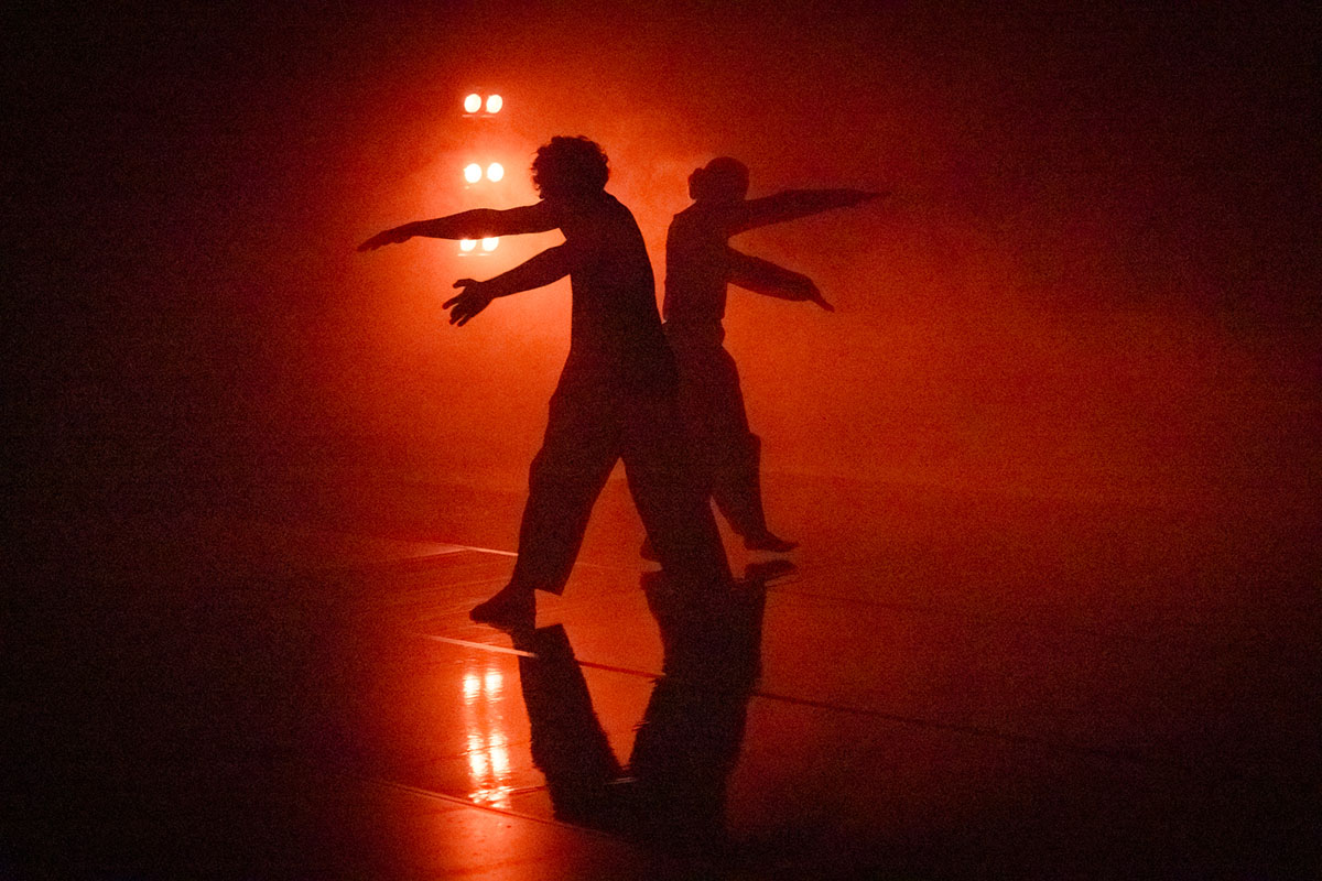 Aligned bodies, intertwined lives: the Baltic vortex of ‘IevaKrish’